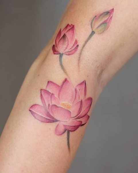 Tatuaggio Tattoo Fiore di Loto Rosa