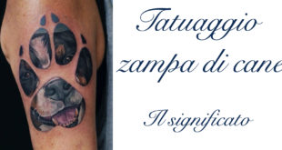 Tattoo Tatuaggio Zampa Cane Significato