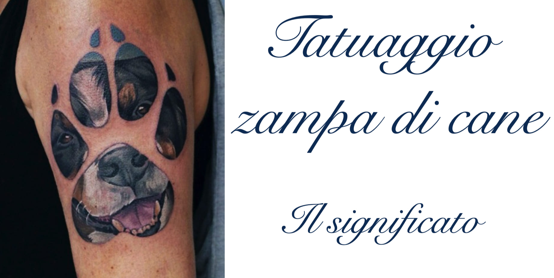 Tattoo Tatuaggio Zampa Cane Significato