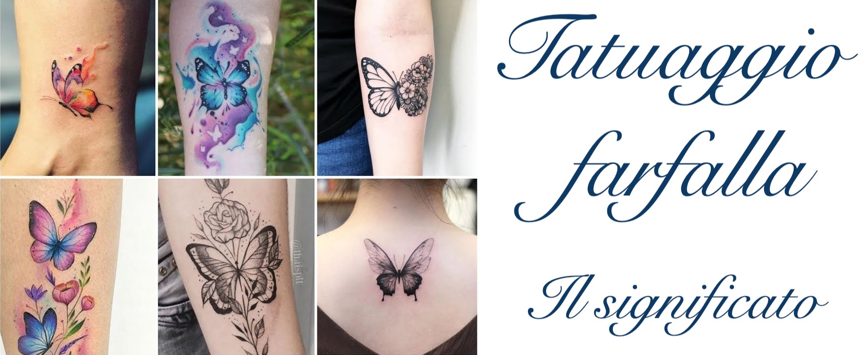 Tatuaggio Tattoo Farfalla Significato