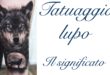 Tatuaggio Tattoo Lupo cosa Significa