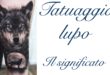 Tatuaggio Tattoo Lupo cosa Significa