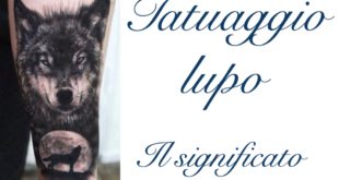 Tatuaggio Tattoo Lupo cosa Significa