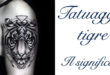 Tatuaggio Tattoo Tigre Significato