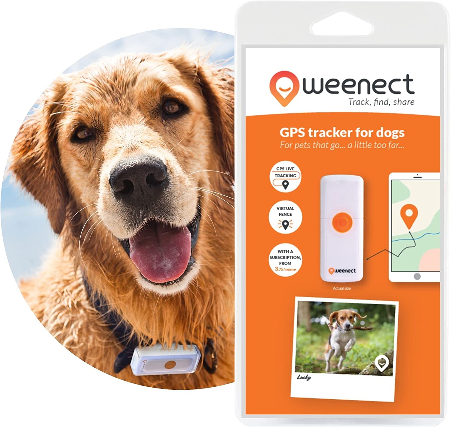 Weenect Collare GPS Cani Recensioni Opinione Prezzo