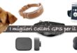 Migliori collari GPS per cani