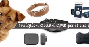 Migliori collari GPS per cani