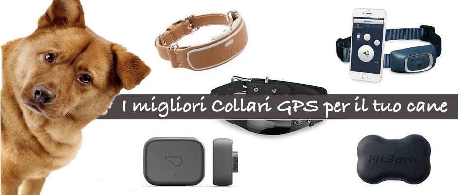 Migliori collari GPS per cani