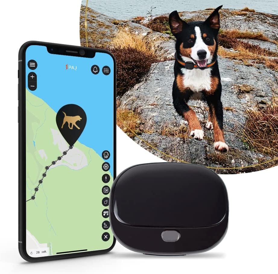 PAJ Collare GPS Cani Recensioni Opinione Prezzo