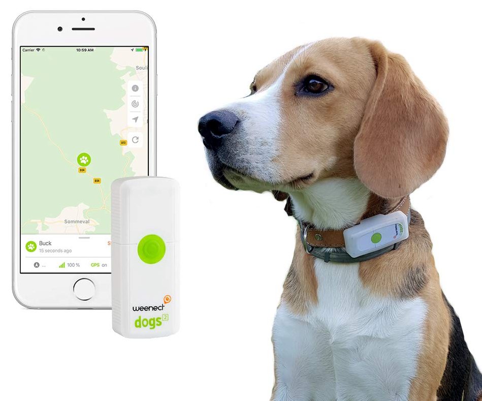 Collari con Localizzatore GPS Satellitari per Cani Quali i Migliori e