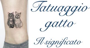 Tatuaggio Gatto Significato Tattoo