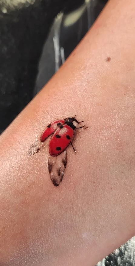 Tatuaggio Tattoo Coccinella Ali