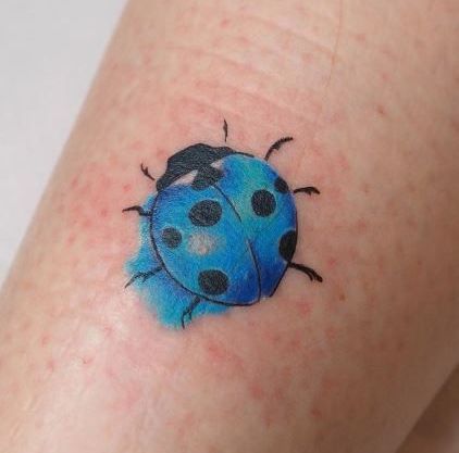 Tatuaggio Tattoo Coccinella Aquerello Blu