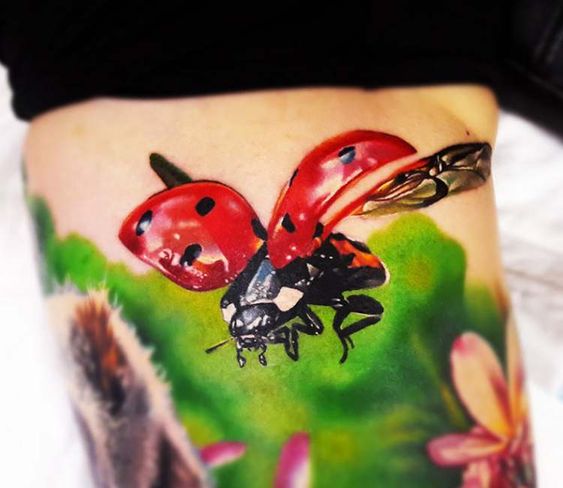 Tatuaggio Tattoo Coccinella Colorata Natura