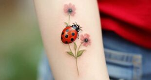Tatuaggio Tattoo Coccinella Natura Sette Punti