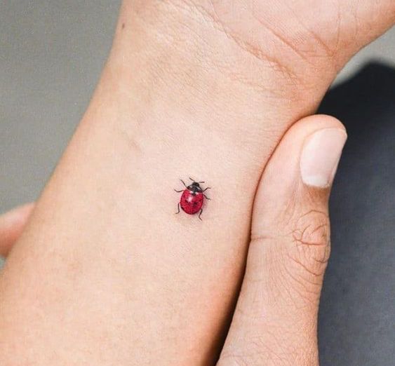 Tatuaggio Tattoo Coccinella Piccolo Polso