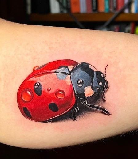 Tatuaggio Tattoo Coccinella Realistico