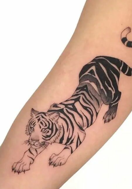Tattoo Tatuaggio Tigre Braccio