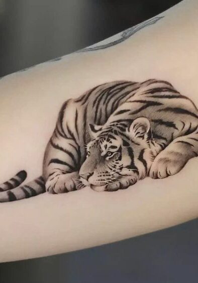 Tattoo Tatuaggio Tigre Riposo