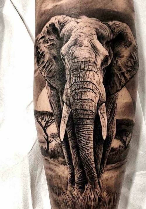 Tatuaggio Tattoo Elefante Realistico