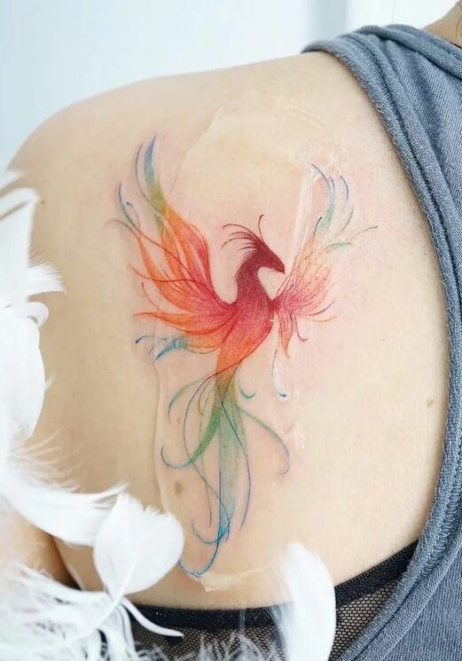 Tatuaggio Tattoo Fenice Sagoma Colorata