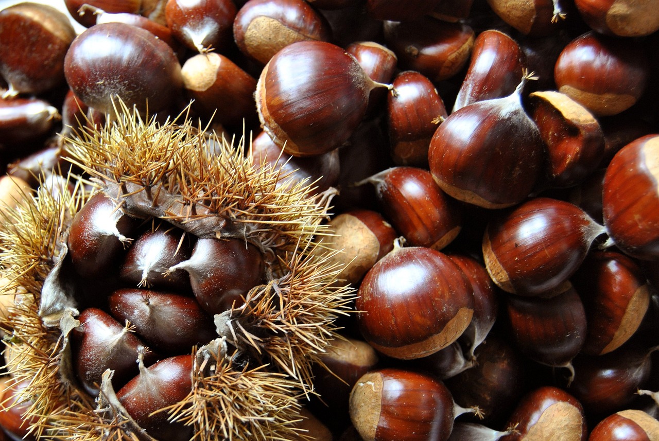 Come Conservare Castagne