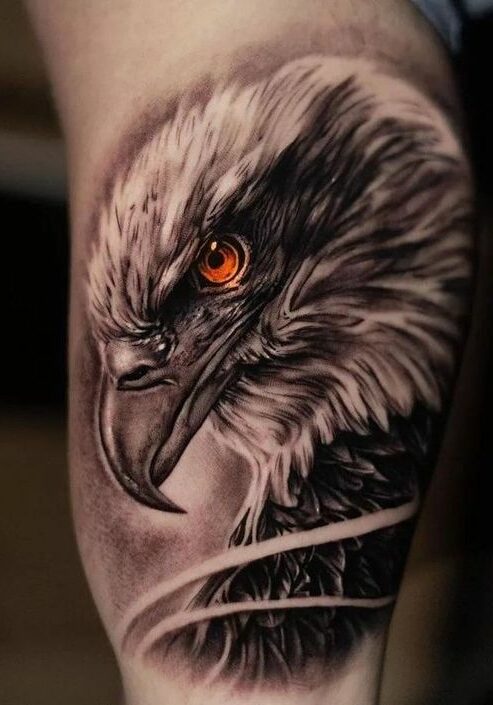 Tatuaggio Tattoo Aquila Occhio Colorato