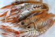 Come Pulire e Cucinare Scampi Ricetta