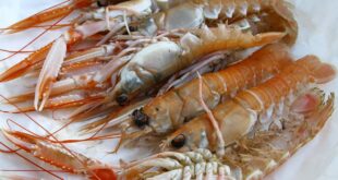 Come Pulire e Cucinare Scampi Ricetta