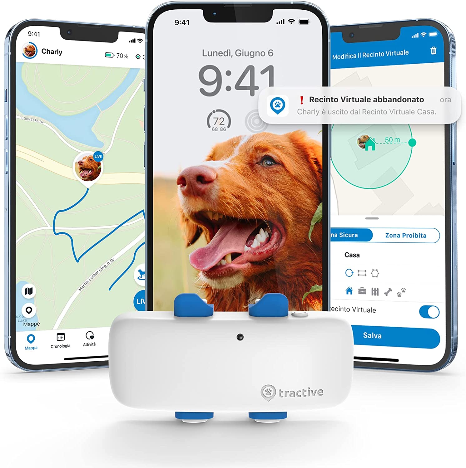 Collare GPS per Cani Tractive Recensioni Opinione Prezzo