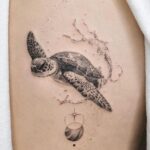 Tatuaggio Tattoo Animali Tartaruga Bianco e Nero