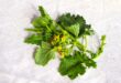 Come Pulire e Cucinare Cime di Rapa Ricetta