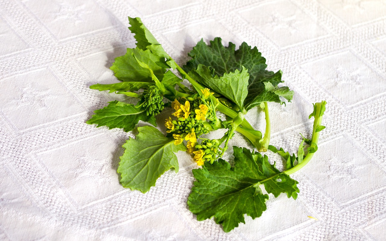 Come Pulire e Cucinare Cime di Rapa Ricetta