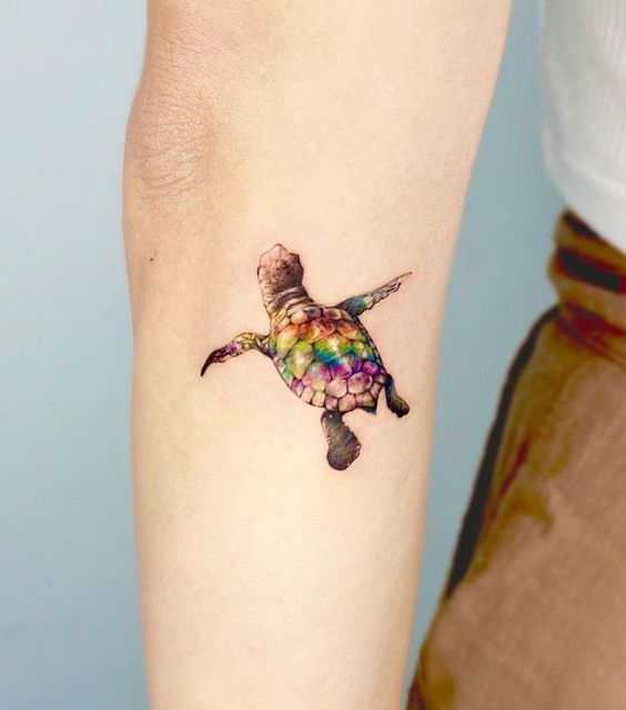 Tatuaggio Tattoo Tartaruga Braccio Colorato