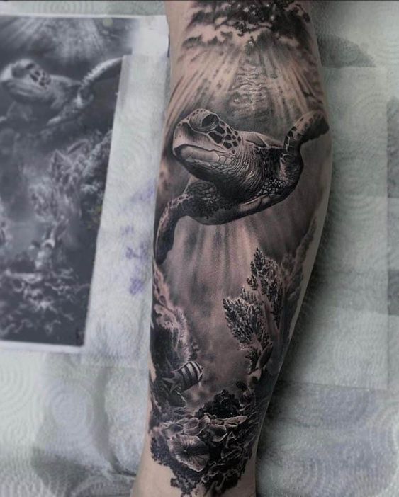 Tatuaggio Tattoo Tartaruga Braccio Realistico